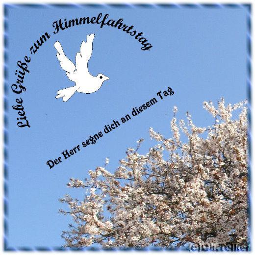 32+ Gaestebuch konfirmation spruch , Himmelfahrt Garten der Poesie