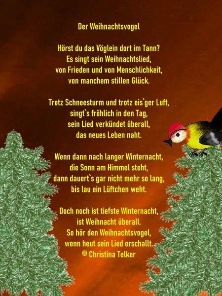 Neue Weihnachtsverse - Garten der Poesie