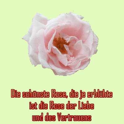 Verse und Zitate - Garten der Poesie